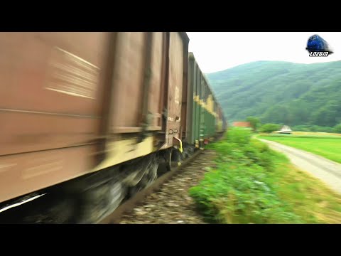 Marfar Vitezoman 🚂🚀 Speedy Cargo Train in Defileul Crișului Repede - 06 July 2023