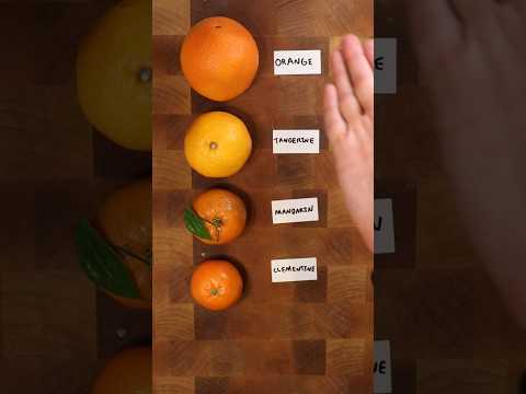 Is there a difference between Orange, Tangerine, Mandarin & Clementine?