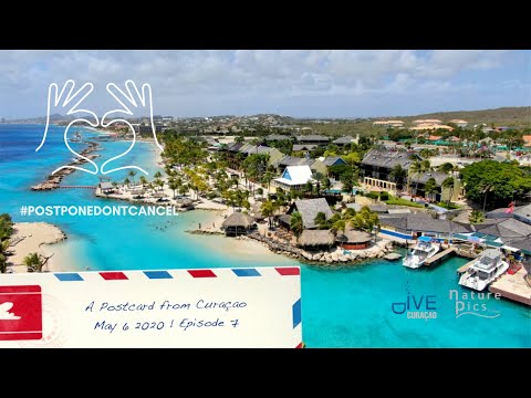 LionsDive Beach Resort Curaçao - A Postcard from Curacao | May 6, 2020 - Episode 7