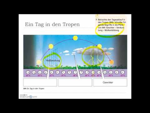 Geographie einfach gemacht: Die Tropen - die heiße Zone der Erde