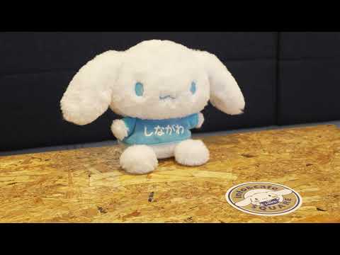 Exploring Shinagawa Ebara area