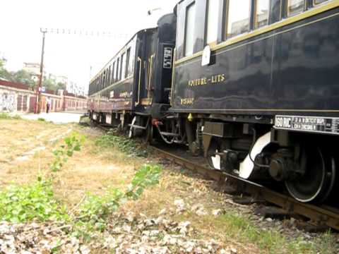 Delfinii 613 si 895 cu Orient Express