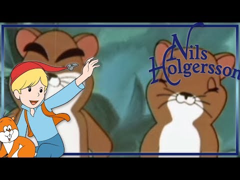 Nils Holgersson: Der Waldbrand - Folge 35 auf Deutsch in ganzer Länge