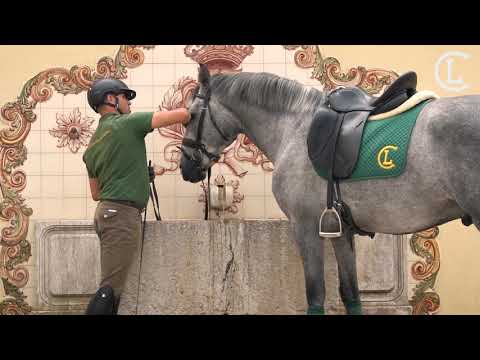 7 Companhia das Lezirias