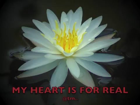 MY HEART IS FOR REAL (Susan)_Dj Williams_Udollar - Kiribati@tm..