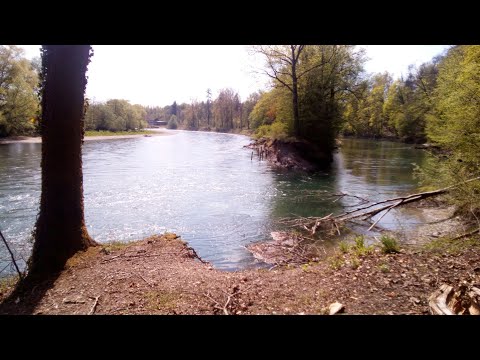 Trip#13-14: Clean up river Reuss | Fluss Reinigung Bremgarten