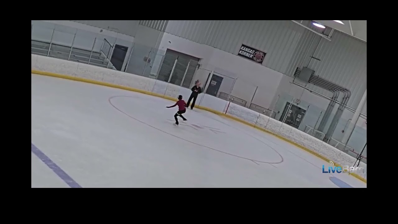 Skating Fridays