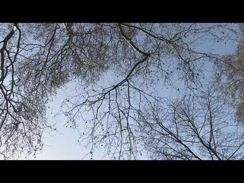 Acrylmalerei 2 - Motivsuche