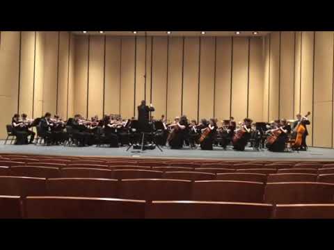AHSO 2019 varsity full orchestra UIL