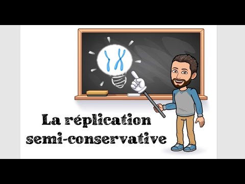SEMI-CONSERVATIVE DNA REPLICATION - #1 1st Year Specialized Biology
