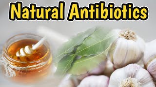 Top Natural Antibiotics | Home Remedies For Bacterial Infection | Natural Antibiotics For Bacteria |