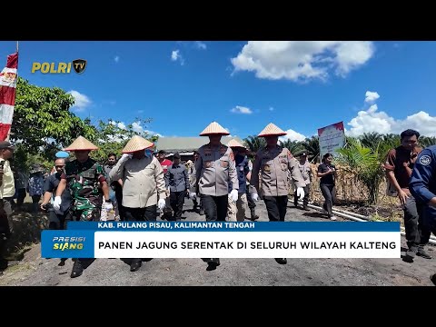 POLDA KALTENG GELAR PANEN RAYA JAGUNG SERENTAK