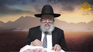 דף היומי בחצי שעה - סוטה דף ג'