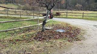 Moto traktor Agria 4800 naprodaj - Slika 4 | Agroline SI Moto traktor Agria 4800 | Slika 4 - Agroline