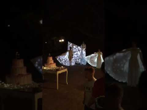 Danza delle farfalle