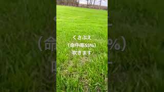 くさぶえの命中率わからせ動画 #ポケモン #切り抜き #自然