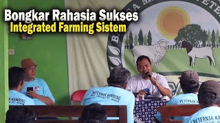 Download lagu Uncovering the Secrets of Successful Integrated Farming || 1 Day with Bayu 78farm mp3