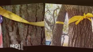 Tie A Yellow Ribbon Round The Old Oak Tree : Tony Orlando &amp; Dawn