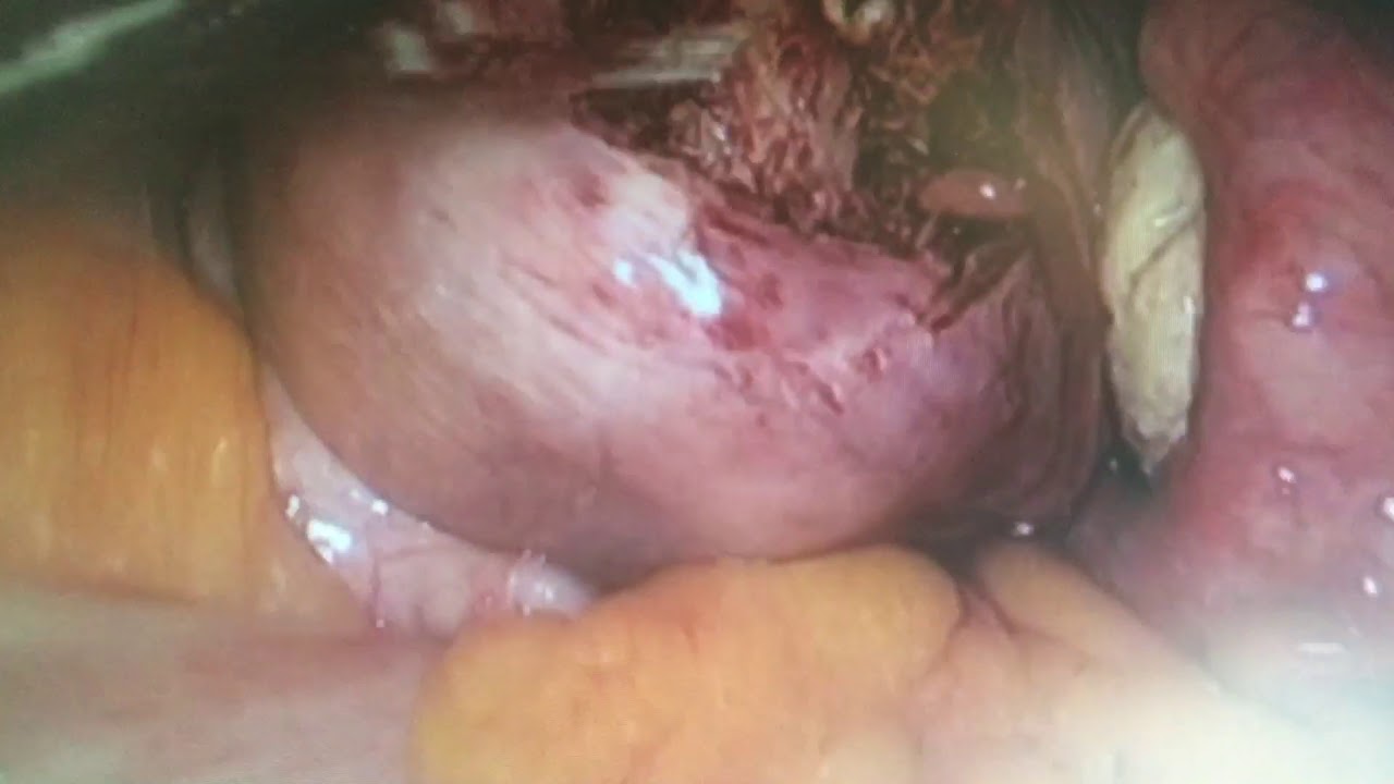 Guillermo Nájera González-20