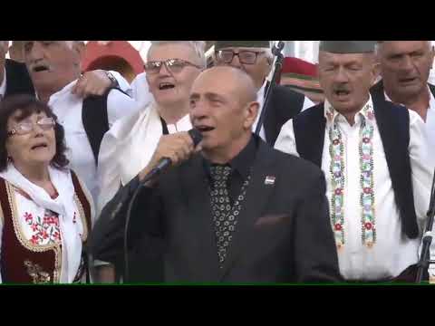 Rade Jorovic i Dragacevske trube - Nema raja bez rodnoga kraja (live)