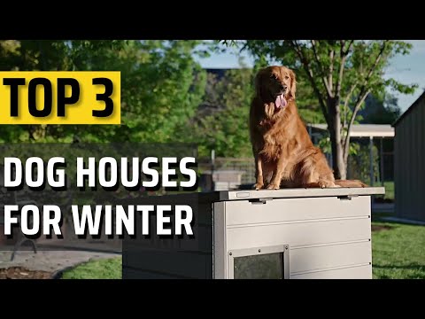 Best Dog House For Winter ✅Top 3 picked✅