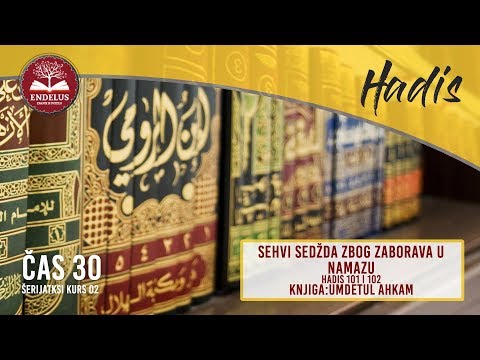 Predavanje selama iz zaborava prije završetka namaza (Hadis 101) | Čas 30 Umdetul Ahkam | dr. Ljakić