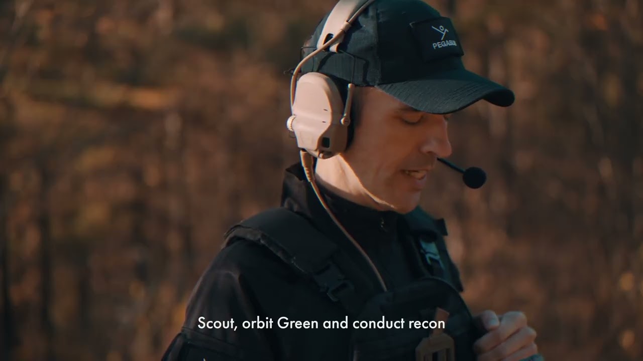 페가수스 영상 스크린샷