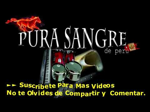 pampa marka pista pura sangre