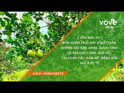 Bán vườn trái cây 2 mặt tiền dài gần 200m, cách Tỉnh Lộ 764 chỉ 1.5km tại Cẩm Mỹ
