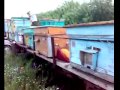Ролик без названия 