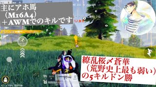 【ゴローTV】繚乱桜〆蒼華による荒野行動【5キルドン勝】
