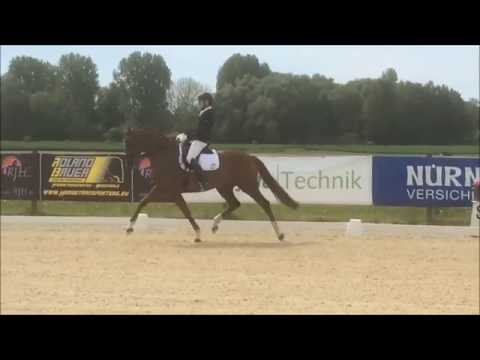 Dacota Halbschwester zu Borsalino von Boston