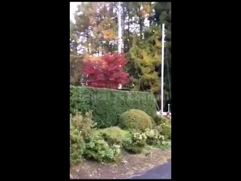 BEAUTIFUL AUTUMN COLORS/Shantal Tv Channel