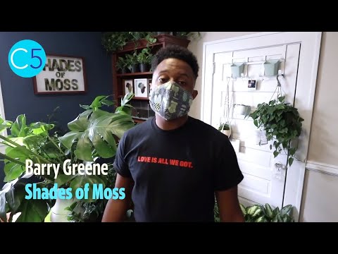 Why are so many people drawn to plants during COVID-19?