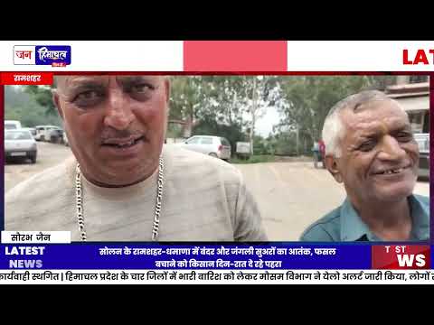 सोलन में बंदर-जंगली सुअरों से किसान परेशान