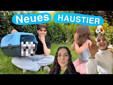 NEW PET FOR MY FAMILY PRANK 😂 *fail*