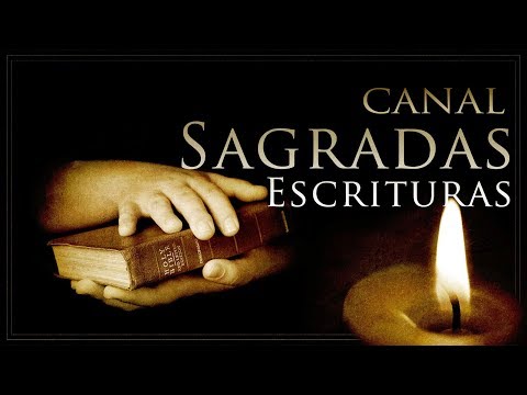 Evangelho, Leitura e Salmos do dia 10 de Outubro de 2018