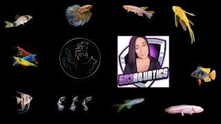 Lets Look at Fish Pop Up