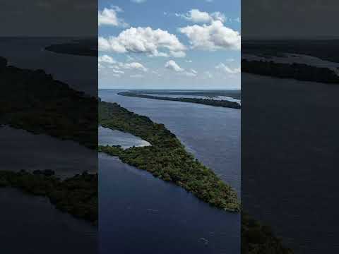 Anavilhanas  Novo Airão - AM #manaus #turismo