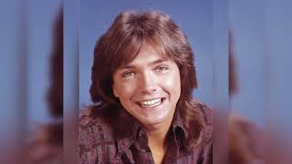 DAVID CASSIDY TRIBUTE-CAN’T GO HOME AGAIN/CRUISE TO HARLEM