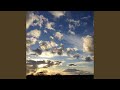 Pi-Meson Dub