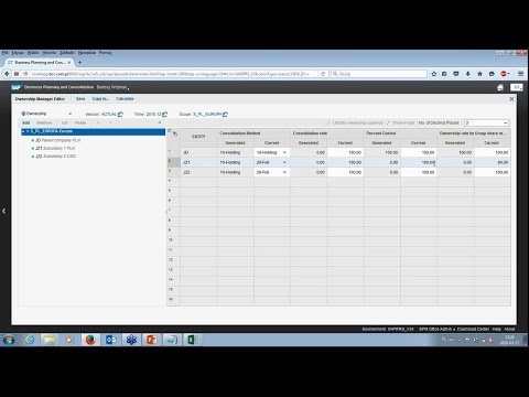 Consolidation of financial statements with SAP Business Planning and Consolidation (SAP BPC)