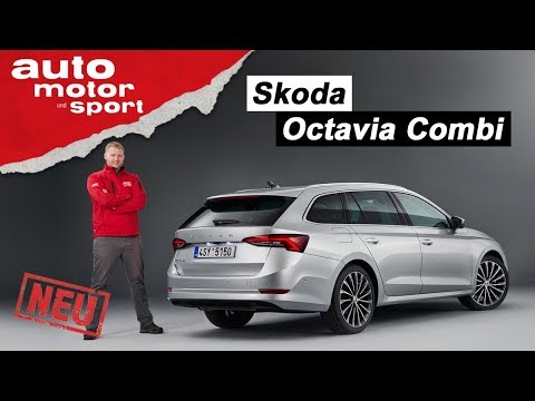 Skoda Octavia (2019): Was bietet die neue Combi-Generation? - Sitzprobe/Review | auto motor & sport
