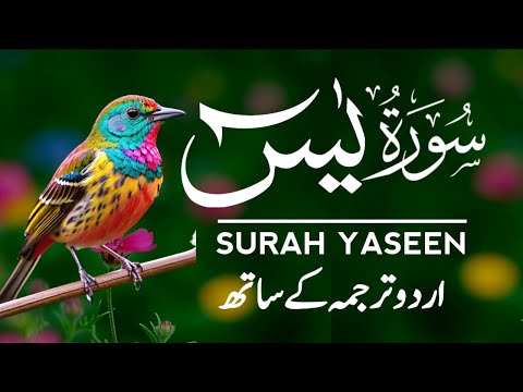 Surah Yaseen Urdu Tarjuma ke Sath | Peaceful Recitation | Episode - 574