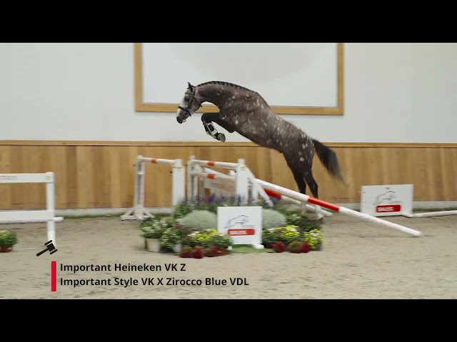 Important Heineken VK Z