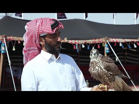 , title : 'Mangroves, faucons et dromadaires : le Qatar protège sa nature et ses traditions'