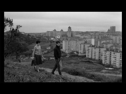 Os Verdes Anos - Trailer