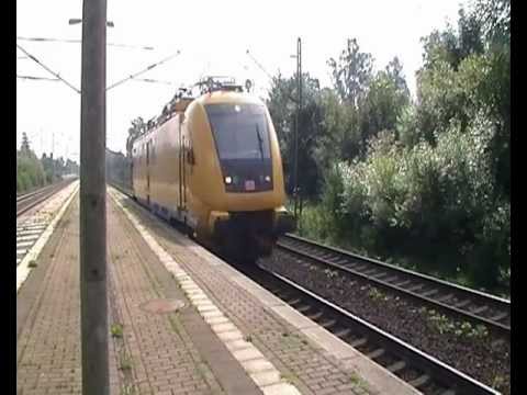 Blickpunkt Zug Teil 8 Mega-Makros in Dedensen Gümmer [27.7.2011]