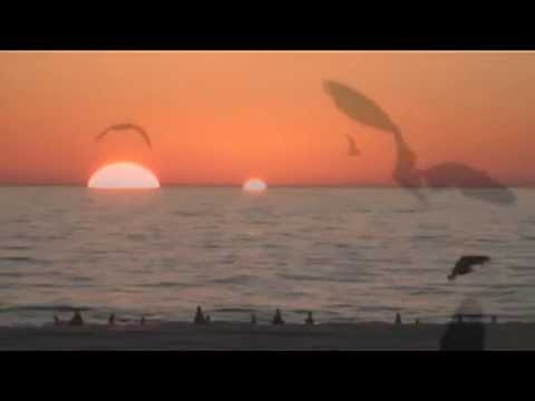 Jose Amnesia: The Eternal Sunrise (Extended Sonix Rework)