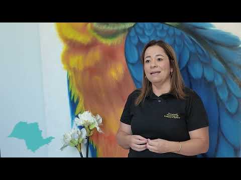 Conheça o Município de Santa Fé do Sul